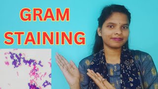 GRAM STAINING FULL DETAILS IN BENGALI  GRAM STAIN PROCEDURE gramstaining [upl. by Betthezul52]