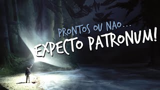 FIZ O TESTE DO PATRONO E OLHA NO QUE DEU  Descubra o seu Patrono no Pottermore [upl. by Adrahc384]