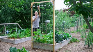 How to Build a Cucumber Trellis Using Only ONE PIECE of WOOD CHEAP and EASY Backyard Gardening [upl. by Gussie265]