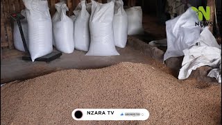 Nzaranews  A la découverte de AGROPLUS un quotAsquot de la provenderie au Togo [upl. by Kennith262]