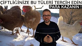 EN ÇOK YUMURTA VEREN 5 TAVUK IRKINI KIYASLADIK [upl. by Cristiona875]