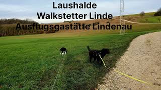 Ausflugsziel  Laushalde Walkstetter Linde Lindenau Gasthaus Schlössle [upl. by Wrigley]