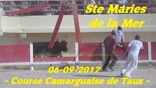 Ste Maries de la MerTausCourse Camarguaise06092017 [upl. by Edric599]