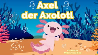 Axel der Axolotl Song 🌊🪸 Tierlied für Kinder 🎶 [upl. by Galliett]