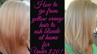 Yellow hair to Ash Blonde  wella T14 and cooling violet additive [upl. by Binni637]