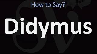 How to Pronounce Didymus CORRECTLY [upl. by Rafaelle]