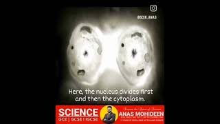 CELL DIVISION  SHORT CLIP  SCIX SCIENCE CLASS  ANAS MOHIDEEN [upl. by Ydroj612]