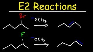 E2 Reaction Mechanism  Hoffman Elimination vs Zaitsevs Rule [upl. by Eidlog162]