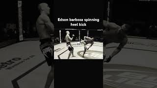 Edson Barboza spinning heel kick ufc mma edsonbarboza knockout brasil •kick [upl. by Rratsal]