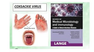 Microbiology  coxsackie virus microbiology coxsakievirus [upl. by Annoiek]