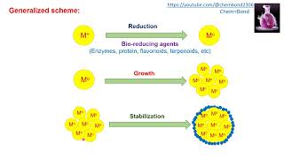 Synthesis of Nanoparticles biological methods [upl. by Elleivap]