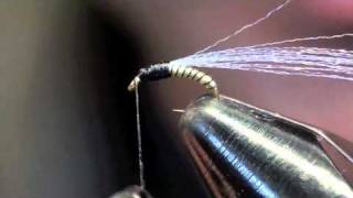 Jujubee Midge Tying Instructions  Fly Tying Video [upl. by Novoj]