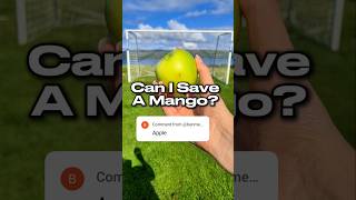 What should the Kilted Keeper save next 🧤🍏 goalkeepertraining goalie goalkeeper football [upl. by Tewell]