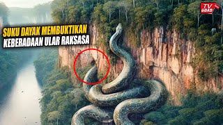 Suku Dayak Buktikan Keberadaan Ular Raksasa 80 Meter Masih Hidup Dipedalaman Hutan Kalimantan [upl. by Ettelorahc166]