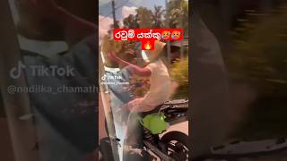 kawasaki D tracker 250 bike srilanka😈💥💥 status srilanka shortvideo hondahornet r1 drz400sm [upl. by Pulling]