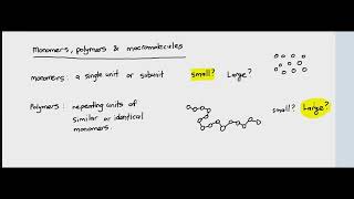 22 Monomers Polymers and Macromolecules Cambridge International AS amp A Level Biology [upl. by Niamor]