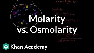 Molarity vs osmolarity  Lab values and concentrations  Health amp Medicine  Khan Academy [upl. by Esbenshade412]