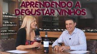 APRENDENDO A DEGUSTAR VINHOS  Divino Vinho [upl. by Arne]