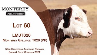 Lot 60 Monterey Gallipoli T020 PP [upl. by Einal]