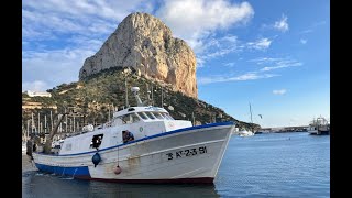 Authentic Fish auction at the Calpe Fishermens Guild Fish Market [upl. by Lathrop675]