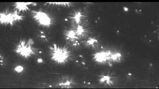 Nanoparticles of Zirconia [upl. by Amadeo281]