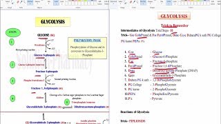 Glycolysis  Simple Tricks to Remember HINDI GPATNIPER Pharmacist DI Examination [upl. by Guildroy748]