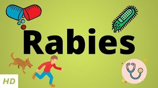 Rabies Causes SIgn and Symptoms Diagnosis and Treatment [upl. by Benji]