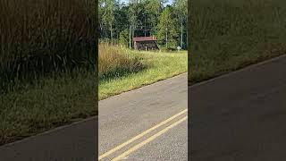 Tannerite bomb fail ricocheting bullets and some redneck commentary 😆 [upl. by Anahsohs]