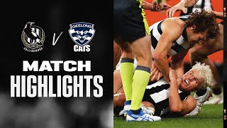 Collingwood v Geelong Cats Highlights  Round 3 2022  AFL [upl. by Trilley529]