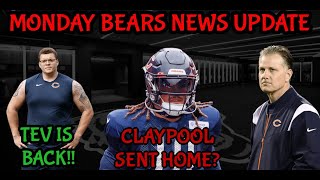 Bears Monday Update Claypool Drama  Tevs Return  And MORE [upl. by Garrick]