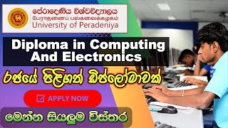 ඔබටත් රජයේ පිලිගත් ඩිප්ලෝමාවක් I Diploma In Computing and Electronics I diploma 2024 [upl. by Jonme417]