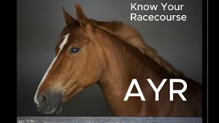 AYR Racecourse Detailed Description Of The Track Layout Standard Times amp Draw Bias [upl. by Ube]