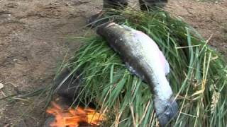 Finnish fish delicacies on an open fire [upl. by Clabo]