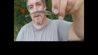 Unbelievable Ned Baits Unconventional Fishing Tricks [upl. by Christos]