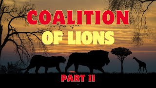 COALICIONES Coalitions  Nuevas Generaciones New Generations  Parte II nature viral lion [upl. by Cahn562]