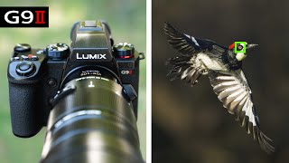 Panasonic G9II Review for Wildlife Photography [upl. by Aerised909]