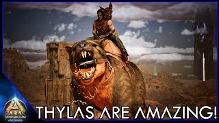 I Tamed A High Level Thyla And Went Treasure Hunting  Ark Scorched Earth EP11 [upl. by Enimasaj]