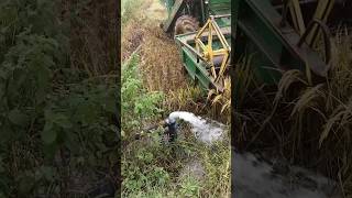 John Deere harvesting reels trending farming folksong harvester harvesting [upl. by Alis]