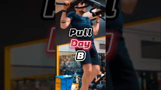 Lasciati Ispirare dalla mia Split Push Pull Legs su 6 sessioni di allenamento Pull Day B 56 [upl. by Narmak]