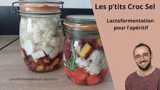 Lactofermentation pour lapéritif [upl. by Eelam852]