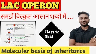 Lac Operon in Hindi  Molecular Basis of Inheritance By Lalit sir [upl. by Avner930]