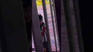 Quad City Storm goal horn from between the penalty boxes [upl. by Ahsaf]