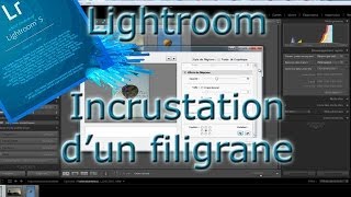 Incrustation de filigranes dans Lightroom [upl. by Nameerf71]