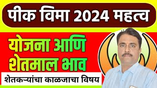 pik vima last date  पीक विमा 2024  शेतमाल भाव [upl. by Dalury566]