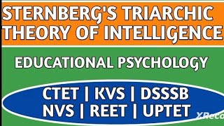 Sternbergs Triarchic Theory Of Intelligence [upl. by Ahsakat106]