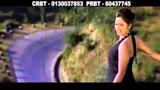 ful jhai oeli najharos samjhi runa naparos nice nepali flok song by  sishir gurung aachyo [upl. by Egwin]