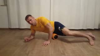 How to Release Your FULL BACK With a Foam Roller [upl. by Yeldah60]