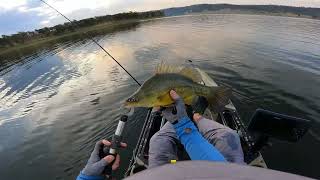 Fishing at Cressbrook Dam  October 2024 [upl. by Tigram]