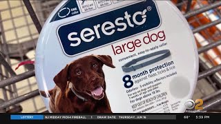 Report links Seresto fleaandtick collar to 2500 pet deaths [upl. by Ancel]