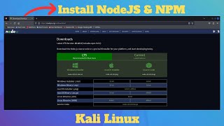 How to Install NODEJS and NPM on Kali Linux [upl. by Hluchy37]